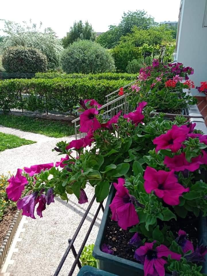 La Cjase Di Pieri E Vilme Bed & Breakfast Udine Exterior photo